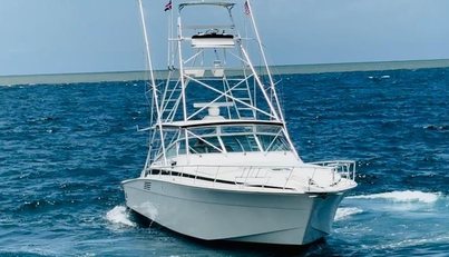 El Caiman For Sale image5