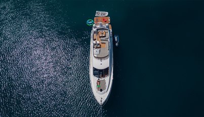CARDANO For Sale image12