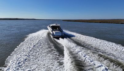 noname For Sale image71