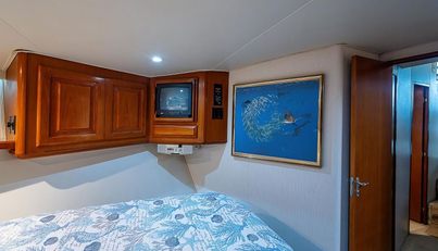 noname For Sale image34