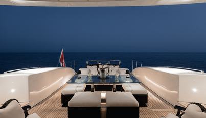 CANVAS For Sale image23