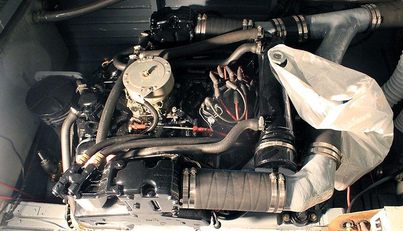 ALLEZ For Sale image43