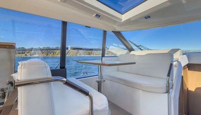 Bee's Knees For Sale image26