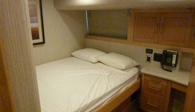 REMY ROO For Sale image42