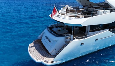 SURVIVOR 2 For Sale image35