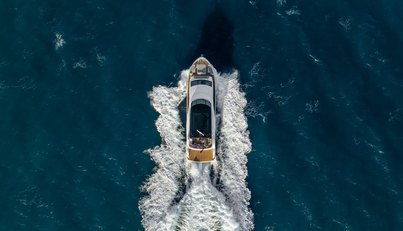 AURELIUS For Sale image2