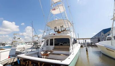Miss Ella Maye For Sale image14