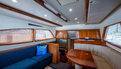 VET BILLZ For Sale image18