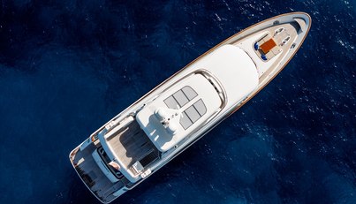 Firefly For Sale image6