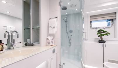 ZIA For Sale image35