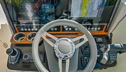 Precious Cargo For Sale image22