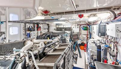 GRIFFIN For Sale image34