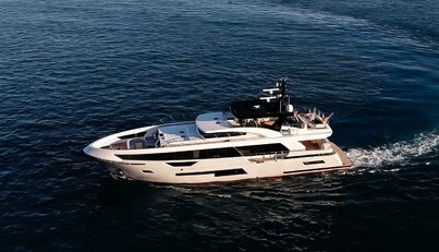 PAPILLON For Sale image31