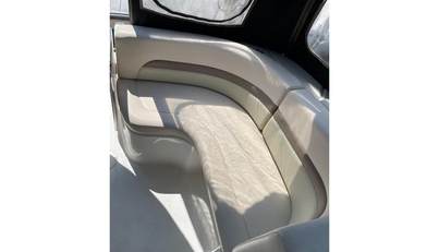 SeaHorse For Sale image5