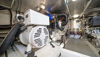 The Cotton Picker For Sale image64