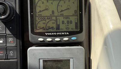 Gracie For Sale image41