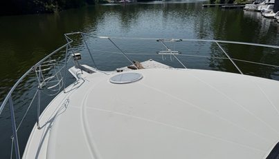 Lady Zette For Sale image20