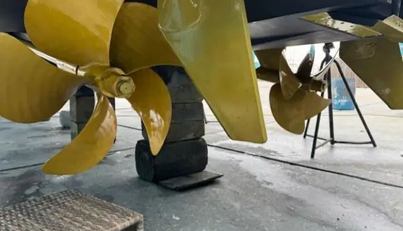 Miss Ella Maye For Sale image103