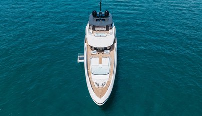 Half Irish For Sale image8