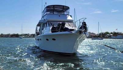 Nauti For Sale image2