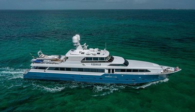 KASHMIR For Sale image2