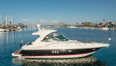 Eurybia For Sale image9