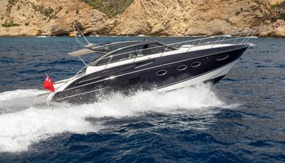 Nightjar For Sale image5