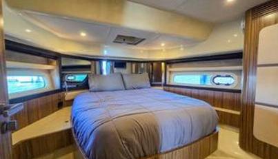 Rumble Bee For Sale image11