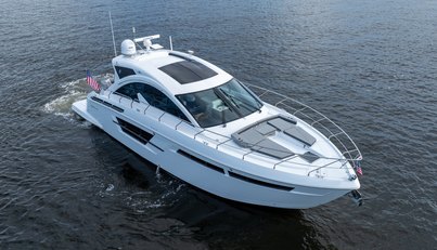 Tropical Dreamer For Sale image10