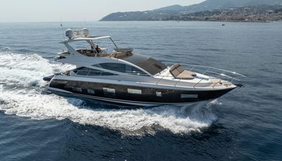 Luna of Chester For Sale image192