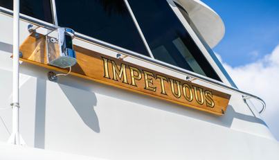 IMPETUOUS For Sale image20