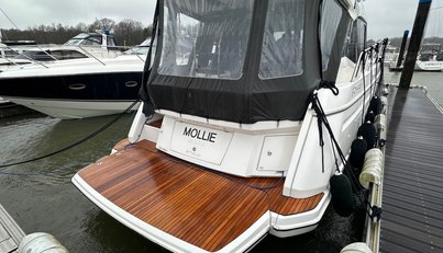 Mollie For Sale image2