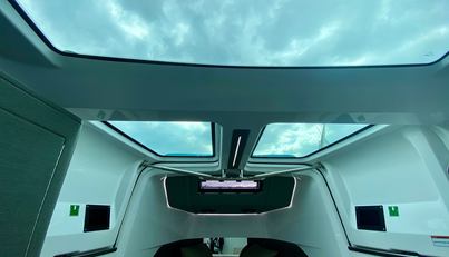 WILBER For Sale image24