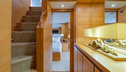 HUMMINGBIRD For Sale image11