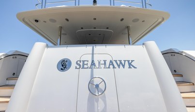 SEAHAWK For Sale image8