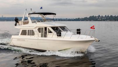 Y Knot For Sale image4