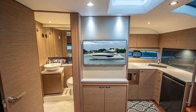 GRAYSKY V For Sale image41