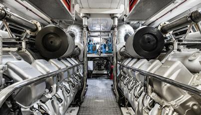 CANVAS For Sale image19