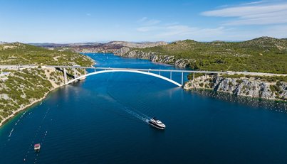 Black Mamba For Sale image11