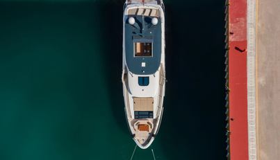 HELIOPHILIA For Sale image28