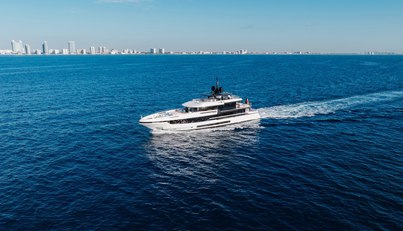 Half Irish For Sale image66