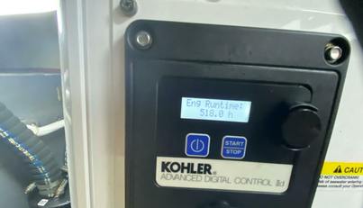 Mabe's Kid For Sale image66