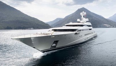 Pelorus For Sale image49