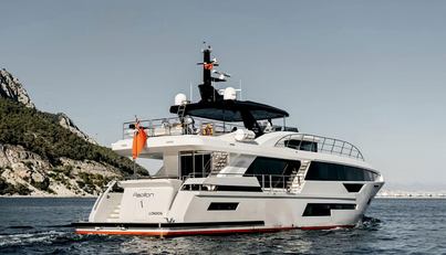 PAPILLON For Sale image27