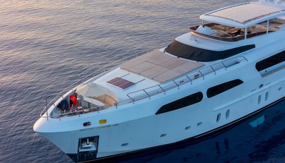 JAFE TICA For Sale image2