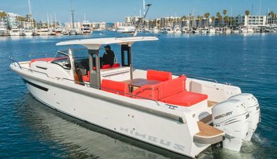 Intrepid For Sale image16