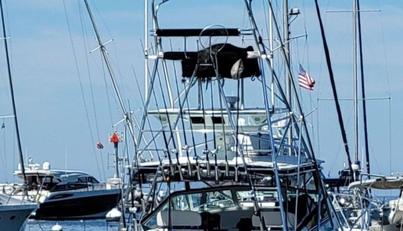 Beer Money For Sale image3