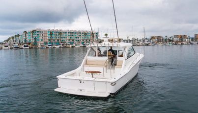 Commodore Two For Sale image12