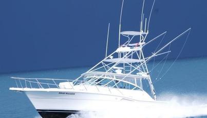 noname For Sale image1