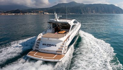 WILDWAVE For Sale image11